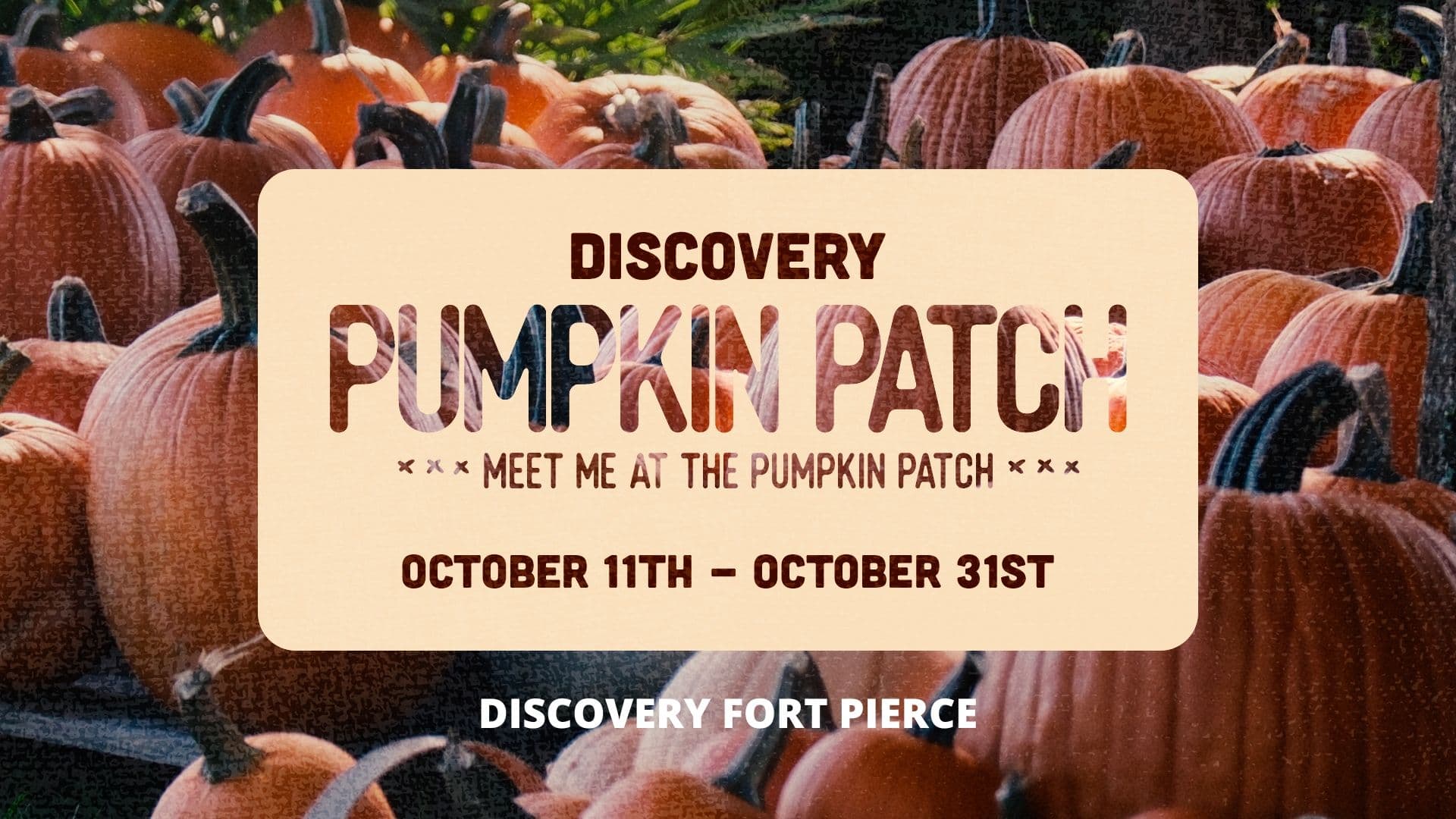Discovery Pumpkin Patch - Fort Pierce