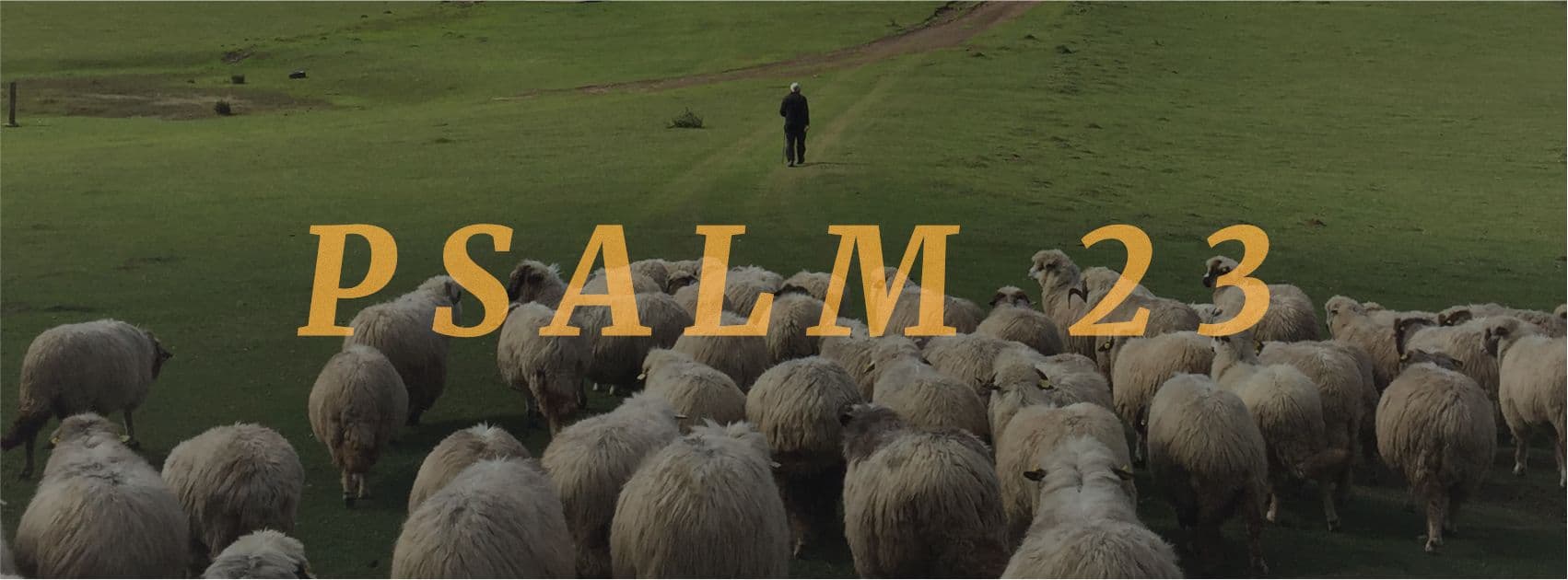 Psalm 23/Part 1