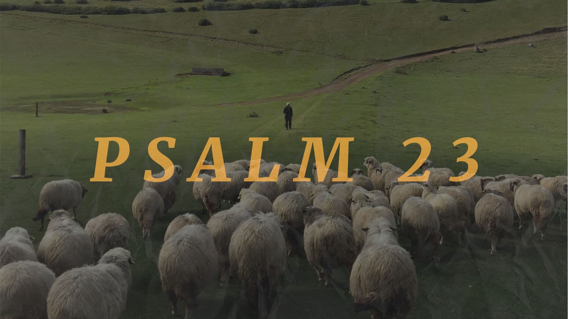 Psalm 23